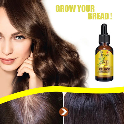 EELHOE Ginger Essence Hair Growth Oil