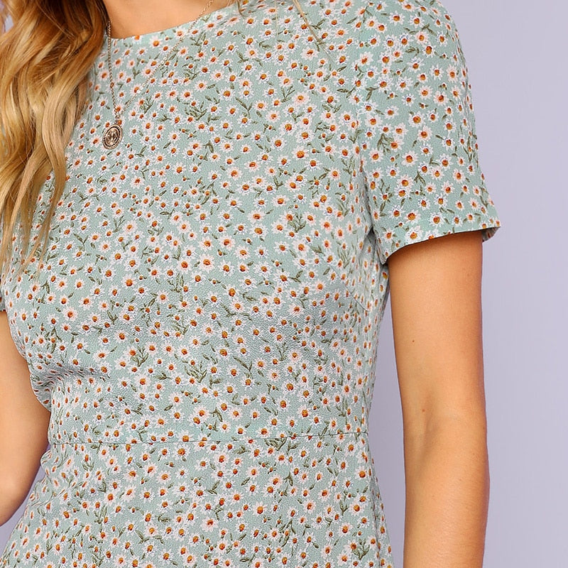 Elegant Casual Fit and Flare Dresses Women