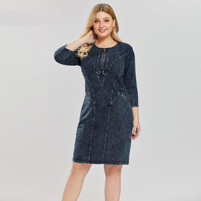 Women's Plus Size Fashion Denim Dress